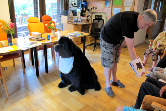 Rozvoj dobrovolnictví v Litomyšli