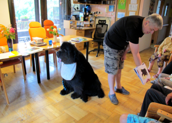 Rozvoj dobrovolnictví v Litomyšli